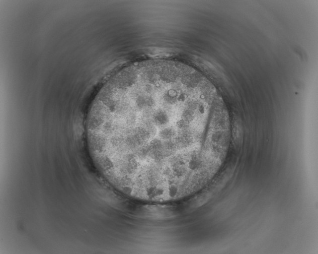 X0000112760367200910011221