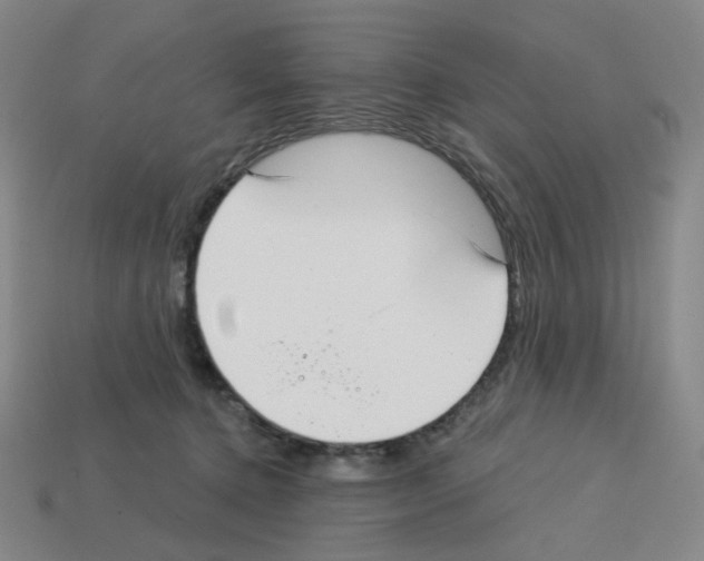 X0000112760368200910011221