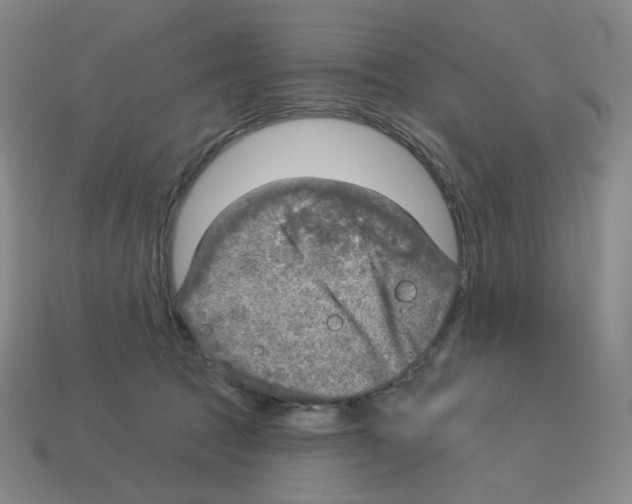 X0000112760369200910011221