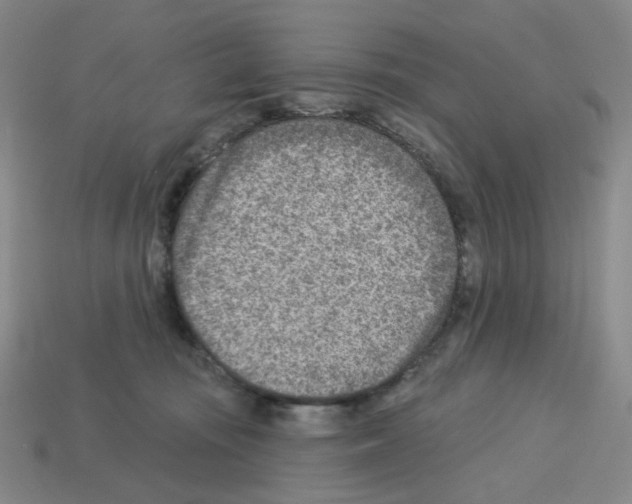 X0000112760371200910011221