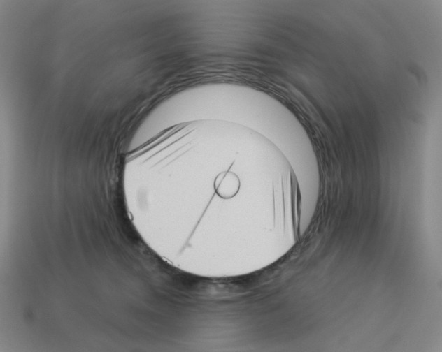 X0000112760372200910011221