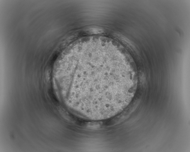X0000112760373200910011221