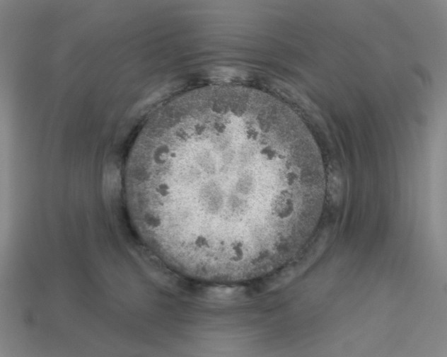 X0000112760375200910011221