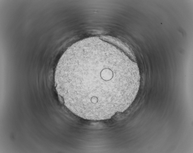 X0000112760376200910011221