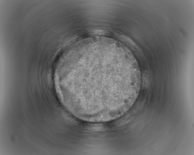 X0000112760377200910011221