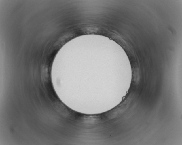 X0000112760378200910011221