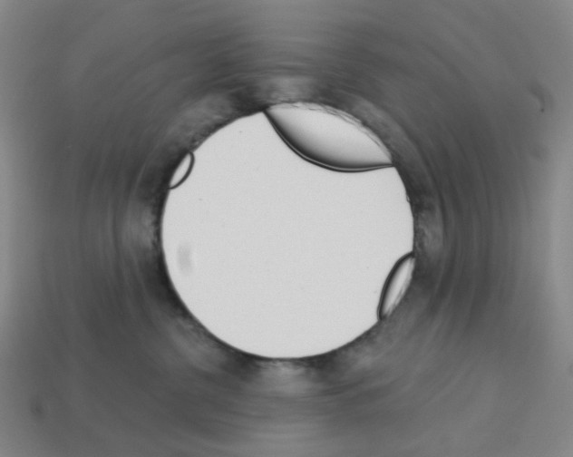X0000112760380200910011221