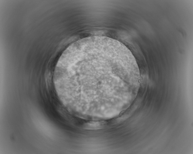 X0000112760381200910011221