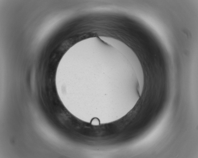 X0000112760382200910011221