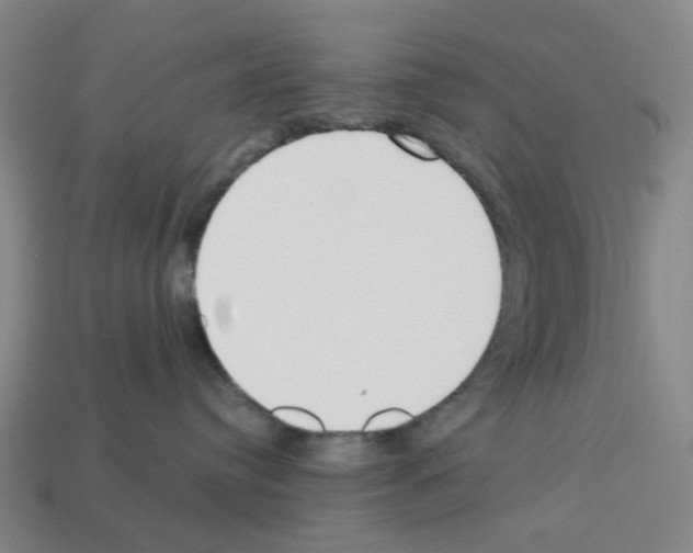 X0000112760384200910011221