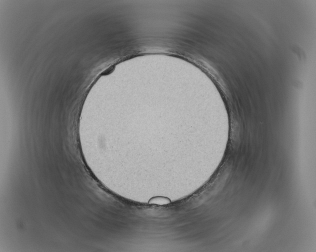 X0000112760385200910011220