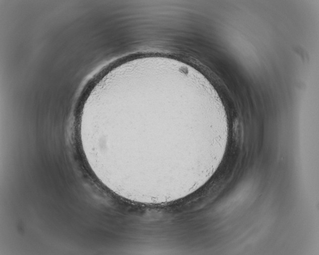 X0000112760388200910011220