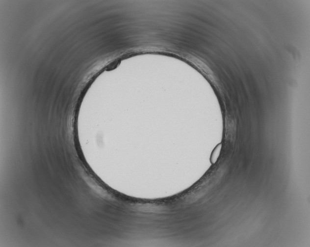 X0000112760389200910011220
