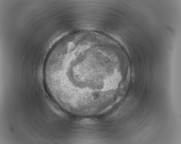 X0000112760390200910011220