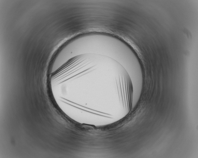 X0000112760391200910011220