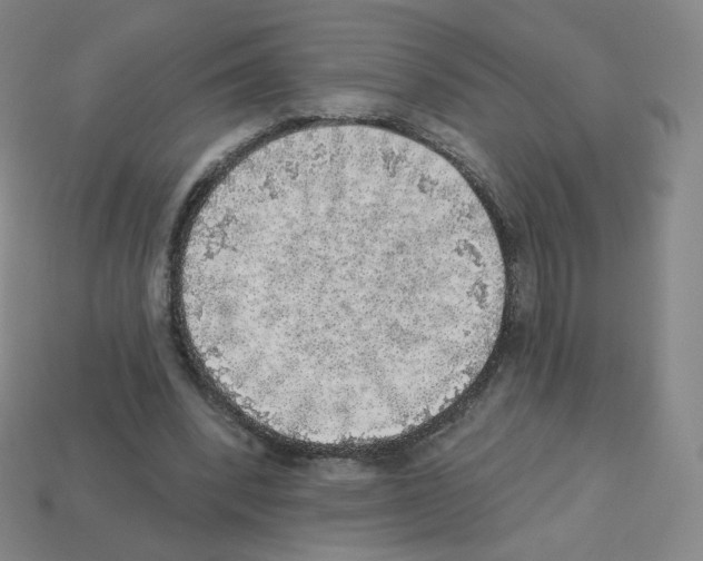 X0000112760392200910011220