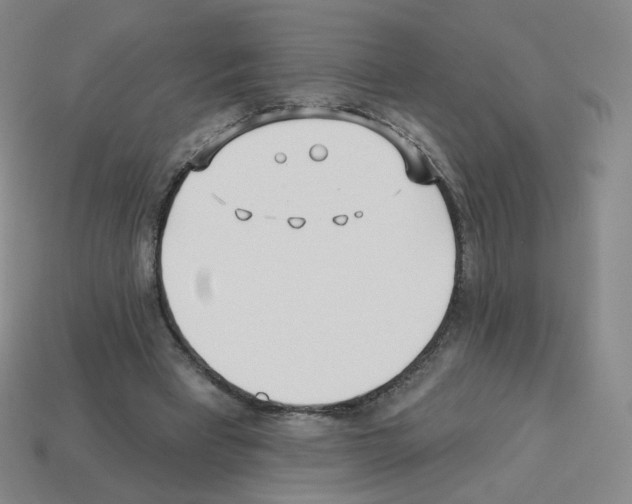 X0000112760393200910011220