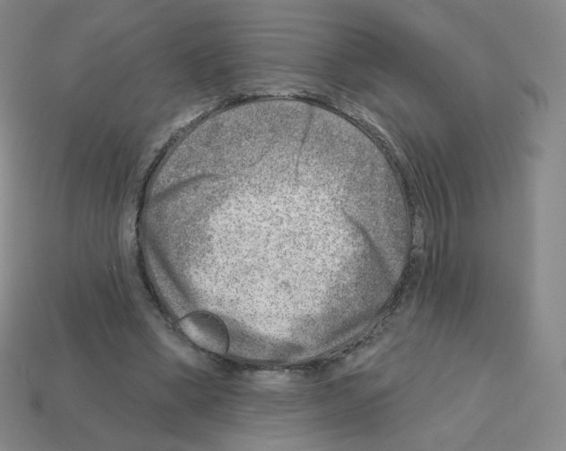 X0000112760394200910011220