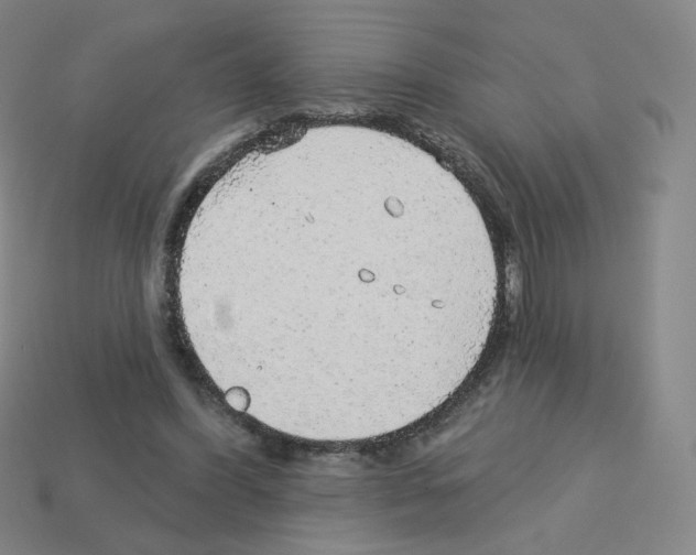 X0000112760396200910011220