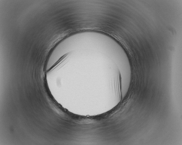 X0000112760397200910011220