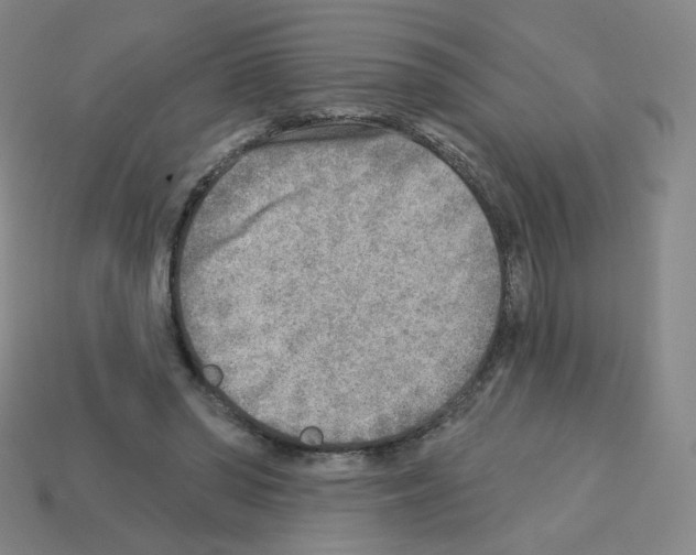 X0000112760398200910011220