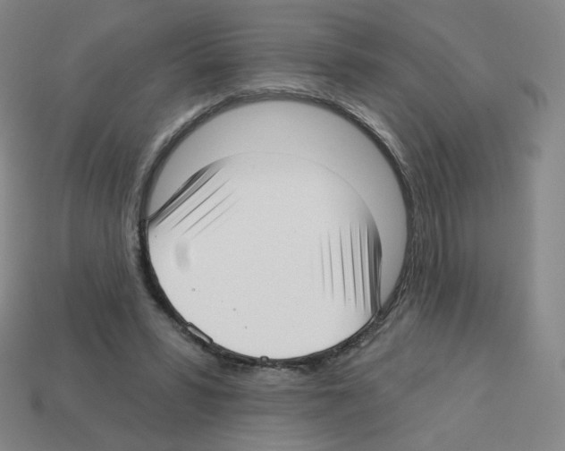 X0000112760399200910011220