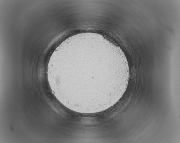 X0000112760400200910011220