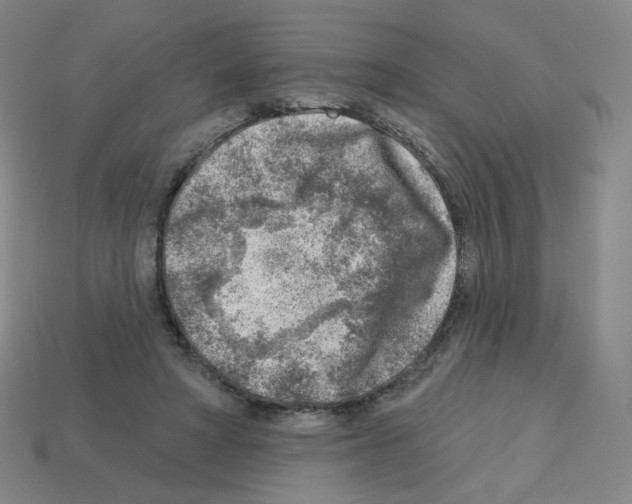 X0000112760402200910011220