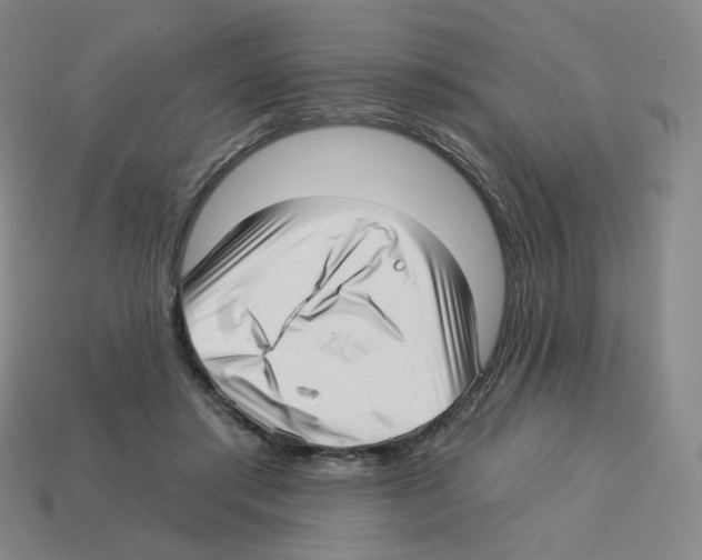 X0000112760405200910011220