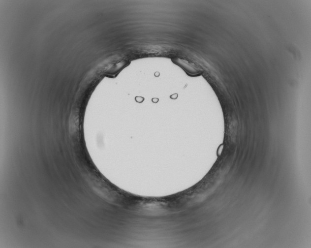 X0000112760407200910011220