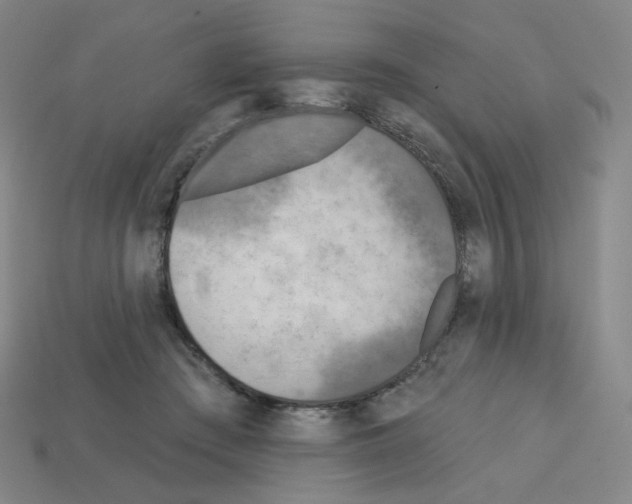 X0000112760409200910011220