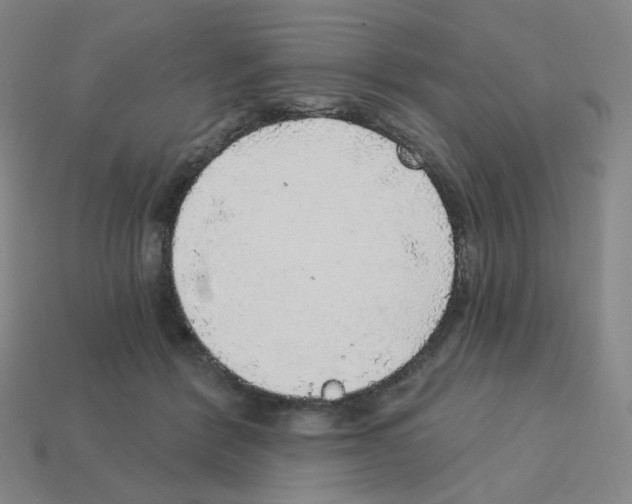 X0000112760412200910011220