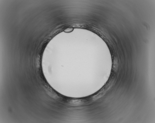 X0000112760413200910011220
