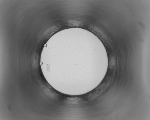 X0000112760414200910011220