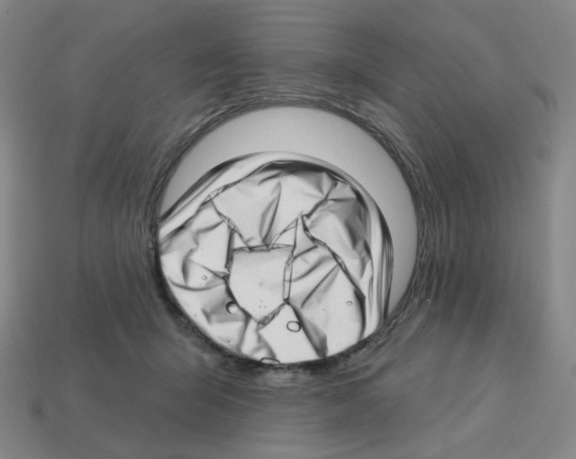 X0000112760415200910011220