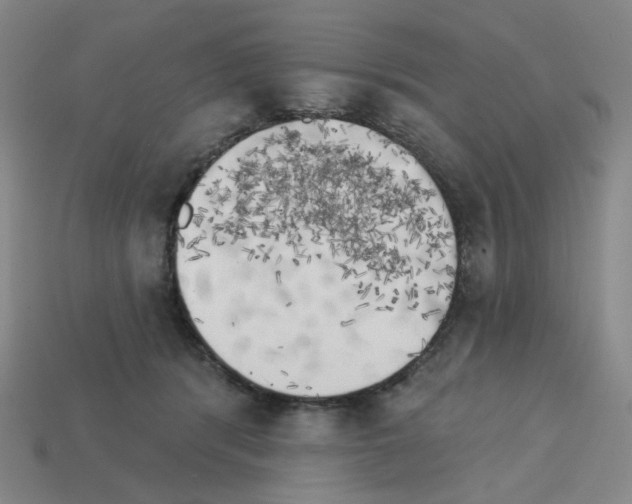X0000112760416200910011220