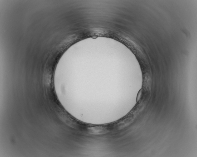X0000112760417200910011220