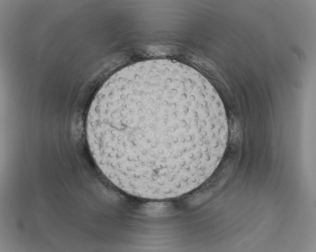 X0000112760418200910011220