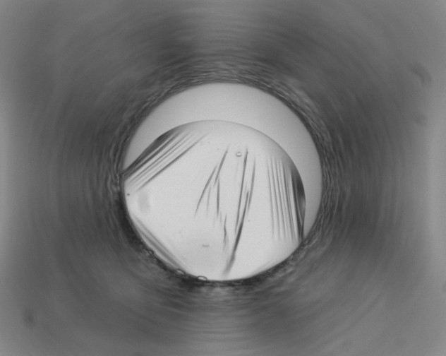 X0000112760419200910011220