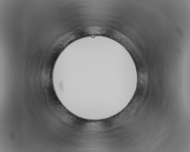 X0000112760422200910011220