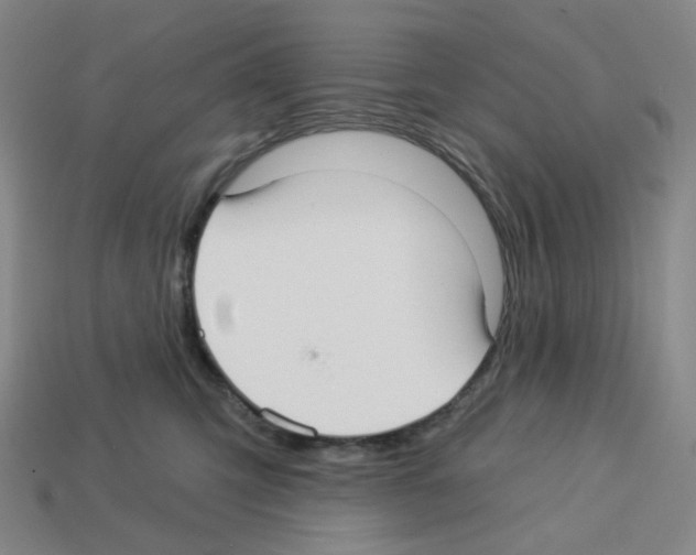 X0000112760423200910011220
