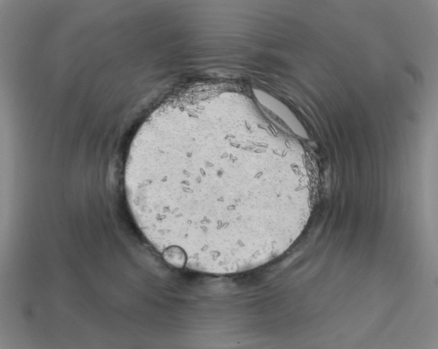 X0000112760424200910011220