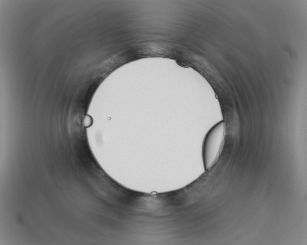 X0000112760425200910011220
