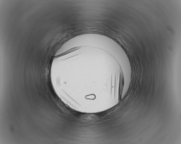 X0000112760427200910011220