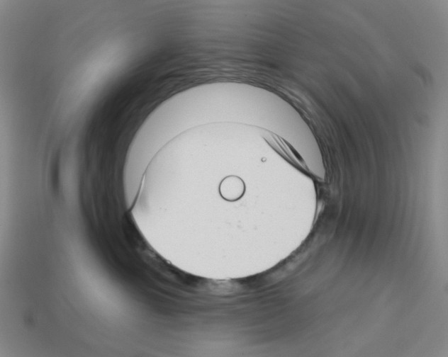 X0000112760429200910011220