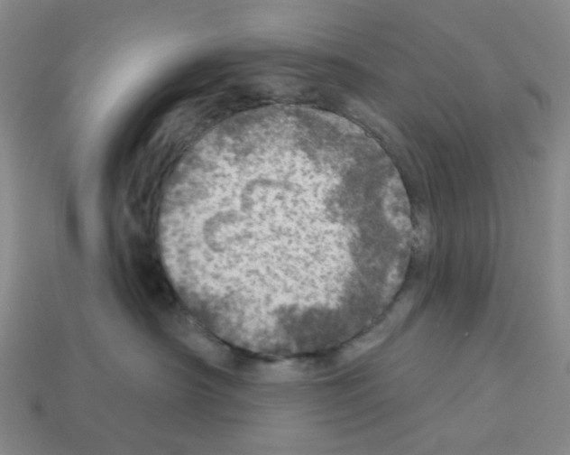 X0000112760430200910011220