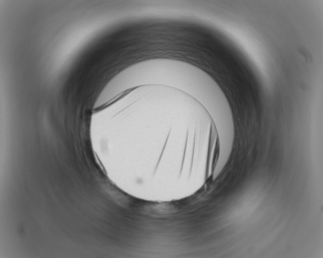 X0000112760431200910011220