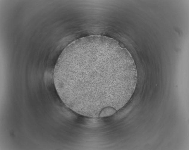 X0000112760432200910011220