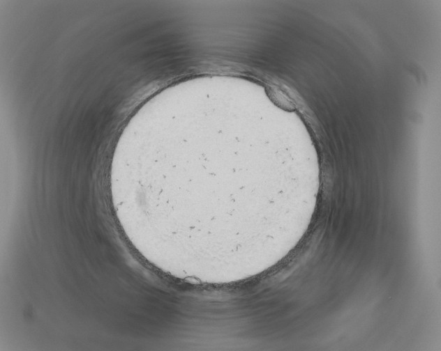 X0000112760433200910011219