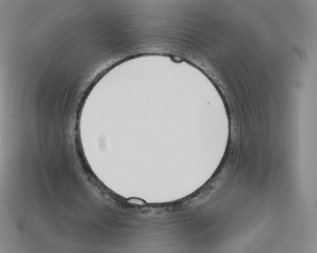 X0000112760434200910011219